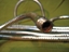 Afbeeldingen van Atlas 12" Gooseneck
