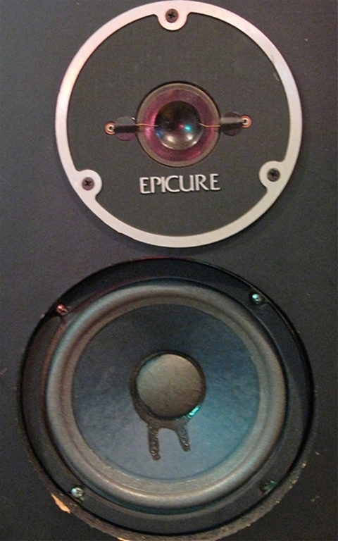 Afbeelding van Epicure, EPI Model 400+ Towers