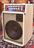 Afbeeldingen van SWR Blonde Workingman's Combo.  SOLD.