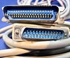 Image sur Centronics 36 to DB25 Cables, Gold flashed.